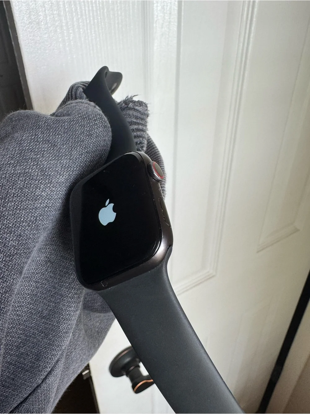 Apple Watch Series 5 - Black Sport Band